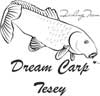 TESEY TESEY