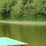 08052008435