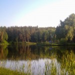 060620111395 060620111395