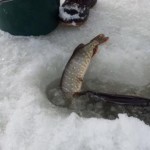 20130222_120218