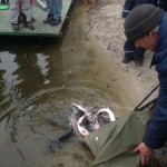 IMG_1979 IMG_1979