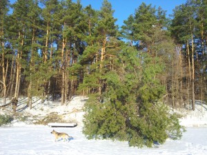 20130101_140404