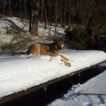 20130101_140548