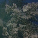 20130113_071846
