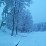 20130113_073851