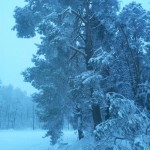 20130113_074105