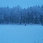 20130113_074128