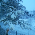 20130113_075142