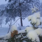 20130113_075151