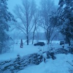 20130113_075201