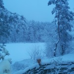 20130113_075206