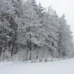 20130113_105736