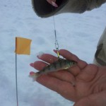 20130113_105817