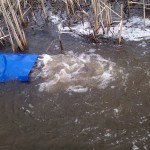 2013-04-25-0521 2013-04-25-0521
