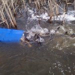 2013-04-25-0523