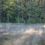 IMG_1203