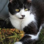 IMG_1324