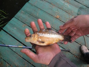 IMG_8259