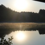 Petrisko_21