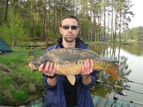 Petrisko_5