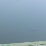 20130418_120614