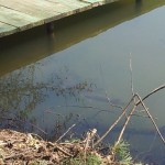 20130418_120922