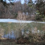 IMG_0132