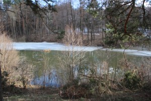 IMG_0132