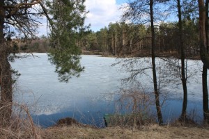 IMG_0133
