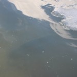 IMG_0145 IMG_0145