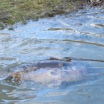 IMG_0154 IMG_0154