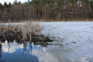 IMG_0159