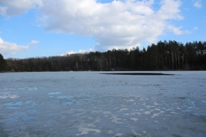 IMG_0160