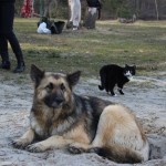 IMG_0173 IMG_0173