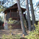 IMG_0261 IMG_0261