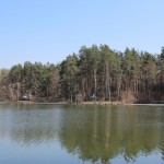IMG_0266