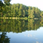 500_500_IMGP7230