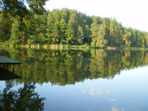500_500_IMGP7230
