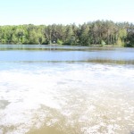 IMG_1188 IMG_1188