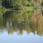 IMG_1312