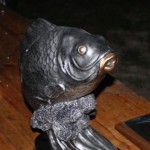 IMG_1576