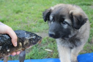 IMG_1645