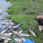 IMG_1647 IMG_1647