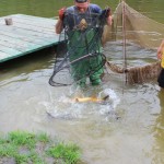 IMG_1720 IMG_1720