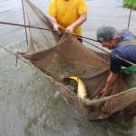 IMG_1796 IMG_1796