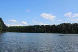 IMG_2074