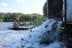 IMG_2086