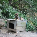 IMG_2135 IMG_2135