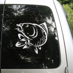 IMG_2177 IMG_2177