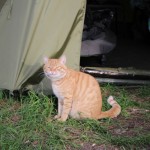 IMG_2187 IMG_2187